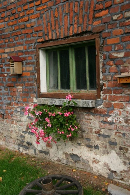 Jak zrobić porządek w ogrodzie